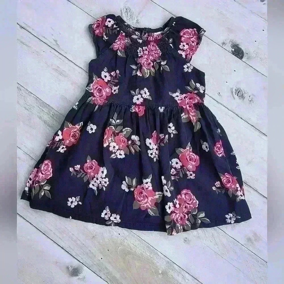 Carter's Baby Girl Floral Sleeveless Smocked Dress Blue Pink Size 18 M - Picture 1 of 5